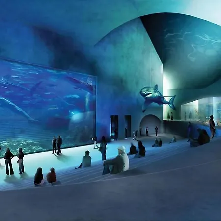 Lejlighed Homely 5 Person In Amager